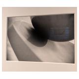 LL - Set of 3 Framed Photographs of Cherry and the Spoon Sculpture
