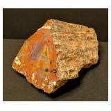 ML - Petrified Wood Specimen with Polished Face, 6 Inches