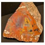 ML - Petrified Wood Specimen with Polished Face, 6 Inches