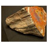 ML - Petrified Wood Specimen with Polished Face, 6 Inches