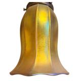 DR - Set of 2 Quoizel Style Iridescent Glass Lamp Shades