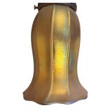 DR - Set of 2 Quoizel Style Iridescent Glass Lamp Shades
