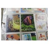 Topps Baseball Card Collection Binder Featuring MLB Stars, 2000s Era