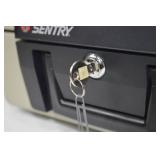 Sentry 1100 Fireproof Safe