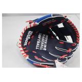 Wilson A200 10 Inch All Position Youth Baseball Glove