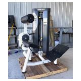 Magnum Lower Back Extension Machine