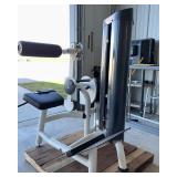 Magnum Lower Back Extension Machine