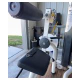 Magnum Lower Back Extension Machine