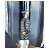 Magnum Lower Back Extension Machine