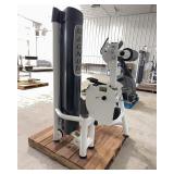 Magnum Lower Back Extension Machine