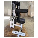 Magnum Abdominal Machine