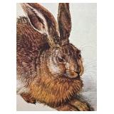 Framed Albrecht Durer 