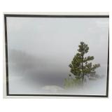 Framed Landscape Photograph with Fog and Pine Tree