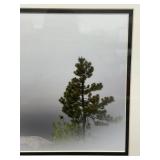 Framed Landscape Photograph with Fog and Pine Tree