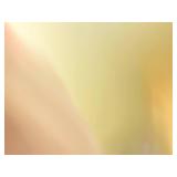 DE 1 - Oreo Cakesters Peanut Butter Creme Snack Cakes 8 Packs (Exp 02/2025)