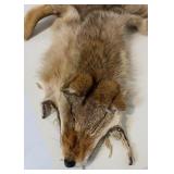 Vintage Fox Hide