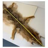 Vintage Fox Hide