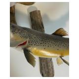 Taxidermy Mounted Trout and Bass