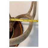 Antler Mount 1