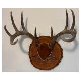 Antler Mount 2