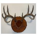 Antler Mount 2