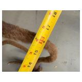 Lot of Animal Shed and Skull Cap