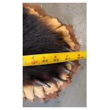 BEAUTIFUL!  5 1/2 foot Taxidermy Black Bear Rug
