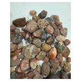 LARGE AND UNSEARCHED RAW Agate and Geode / Nodule lot 1