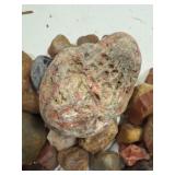 LARGE AND UNSEARCHED Raw Agate and Geode / Nodule lot 2