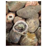 LARGE AND UNSEARCHED Raw Agate and Geode / Nodule lot 2