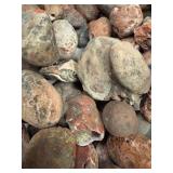 LARGE AND UNSEARCHED Raw Agate and Geode / Nodule lot 2