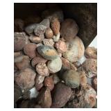 LARGE AND UNSEARCHED Raw Agate and Geode / Nodule lot 2