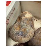 LARGE AND UNSEARCHED Raw Agate and Geode / Nodule lot 2