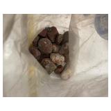 LARGE AND UNSEARCHED Raw Agate and Geode / Nodule lot 3