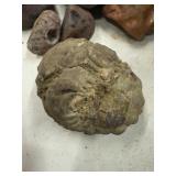 LARGE AND UNSEARCHED Raw Agate and Geode / Nodule lot 4