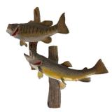 Taxidermy Mounted Trout and Bass