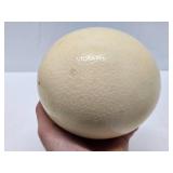 Large Hollow Genuine Ostrich Egg w/Brass Stand