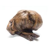 Chunk of Burled Driftwood