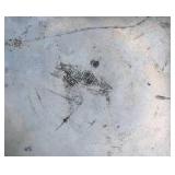 25" Neverleak Milk Can Cannister w/lid