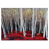 47" W x 32" H Stretched Canvas Painting – Birch Trees in Fall