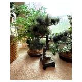 Artificial Bonsai and Floral Décor Collection