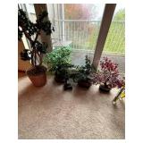 Artificial Bonsai and Floral Décor Collection