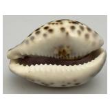 Misc. Vintage Phillipines Collectibles Including Coconut Bowls, Wooden Crab Trinket Box And More