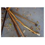 Walking Stick and Canes