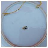 Variety of Collectible and Souvenir Plates Including Las Vegas, Montana, Arizona and More