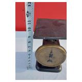Vintage Warranted Family Scale