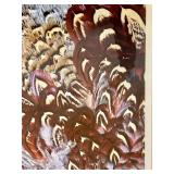 Framed David Matthew Photographic Print of Pheasant Feathers