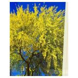 LLSTR- Framed Artisan Photographic Print by David Matthew 