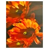 LLSTR- Framed Photographic Print by David Matthew, Vibrant Floral