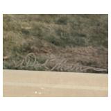 LL - Set of 2 Framed Farm Photography Prints by David Mathew, Signed